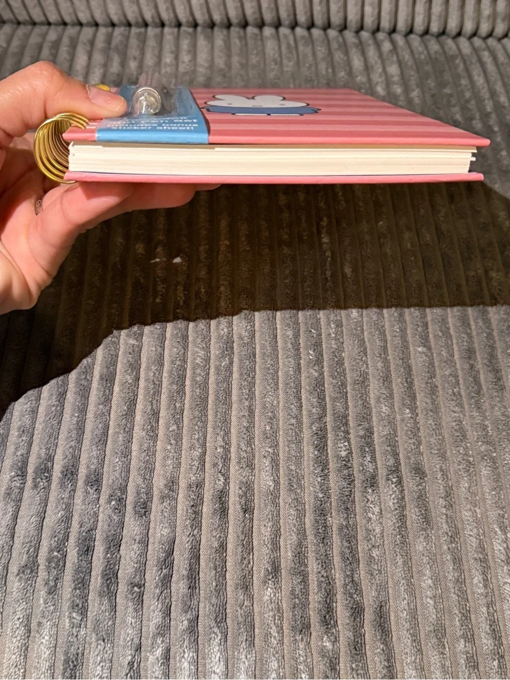 miffy Coral Striped Notebook & Pen Set with Blue Outfit